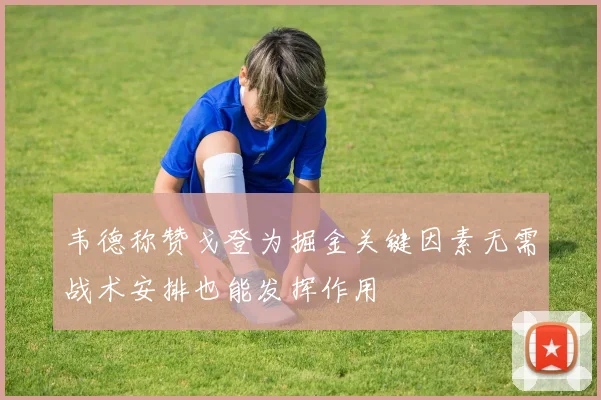 韦德称赞戈登为掘金关键因素无需战术安排也能发挥作用