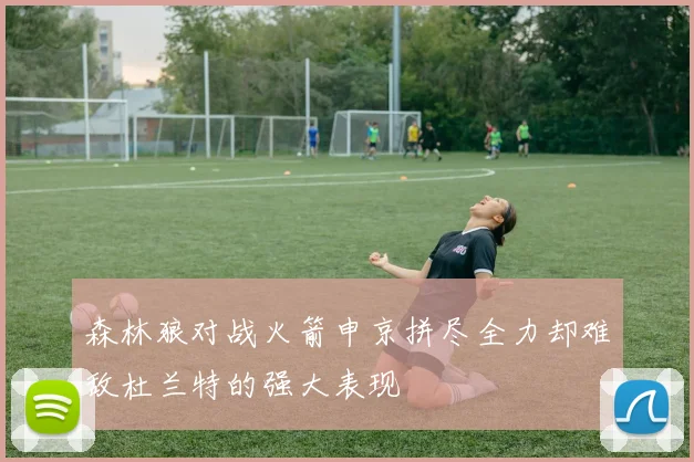 森林狼对战火箭申京拼尽全力却难敌杜兰特的强大表现